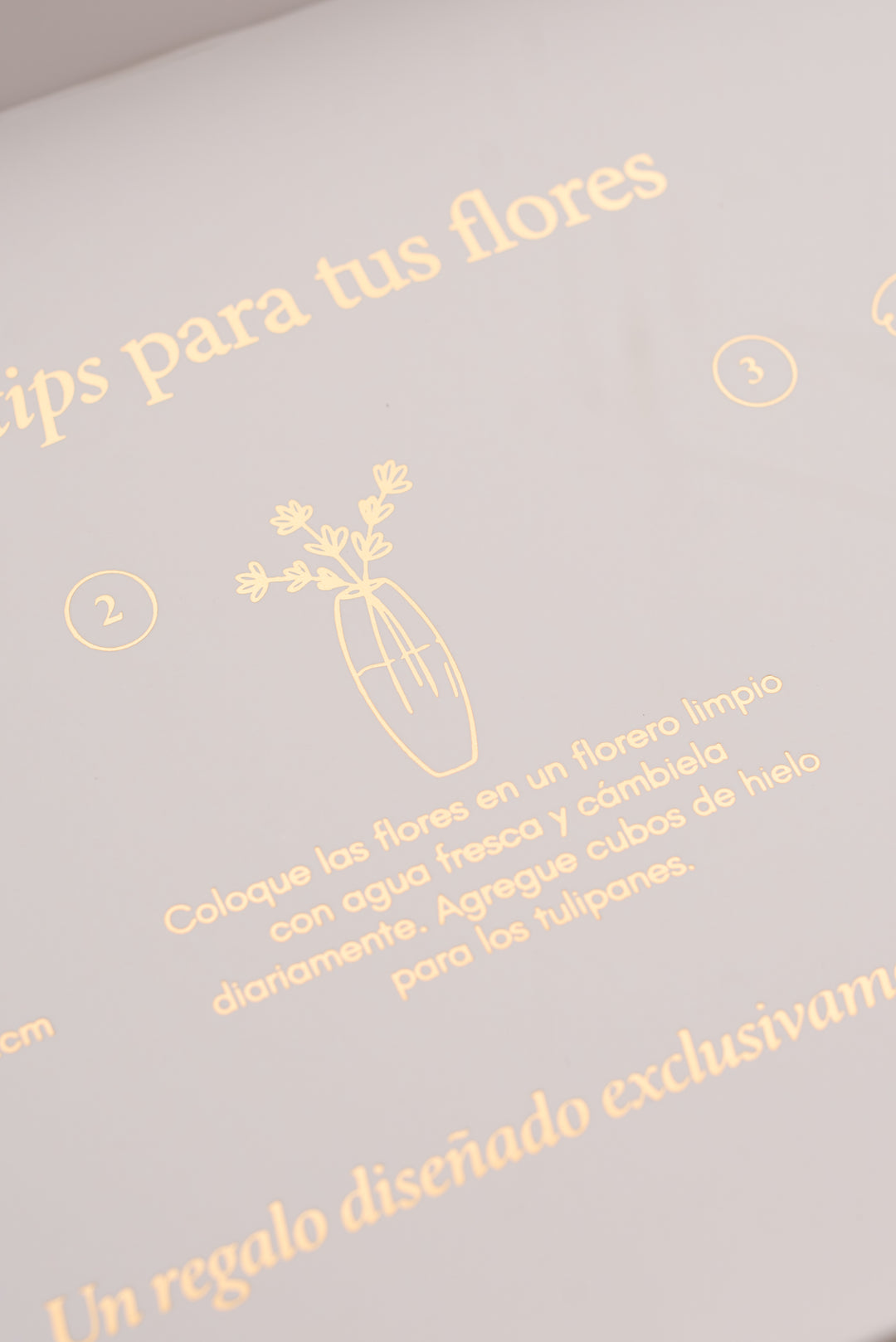Classic Box 10 Tulipanes - Mamá26
