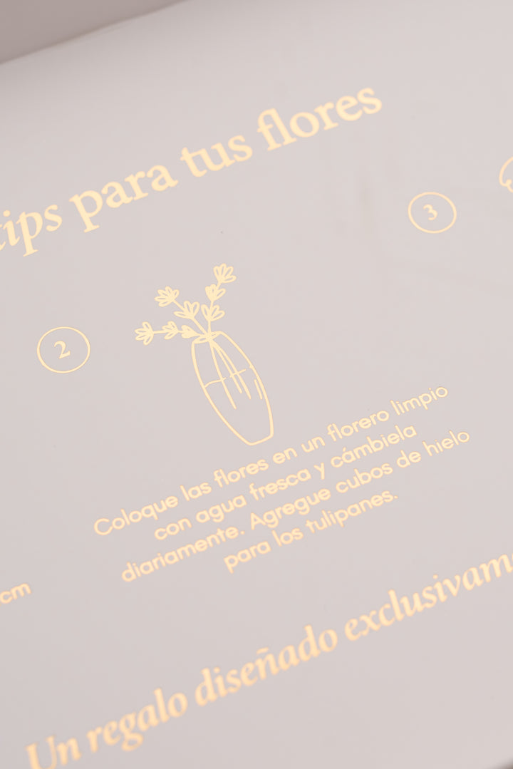 Classic Box 10 Tulipanes - Mamá26