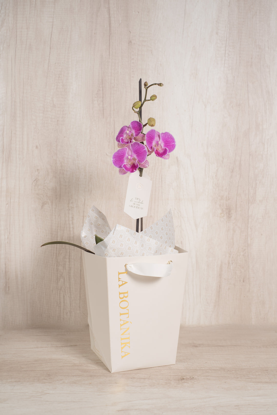 Marie con orquídea - Mamá26