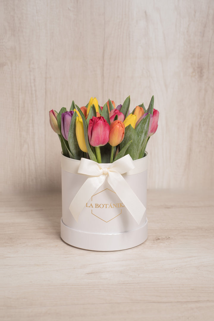 Round Box Blanca Mix 20 Tulipanes