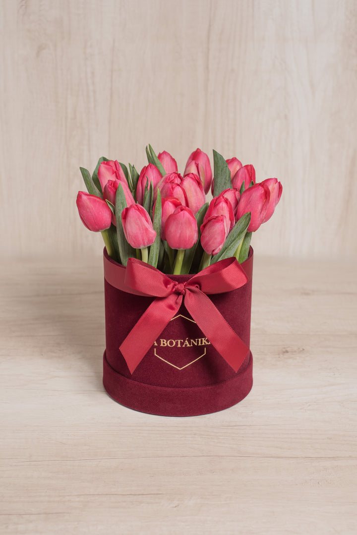 Round Box Velvet 20 Tulipanes rojos