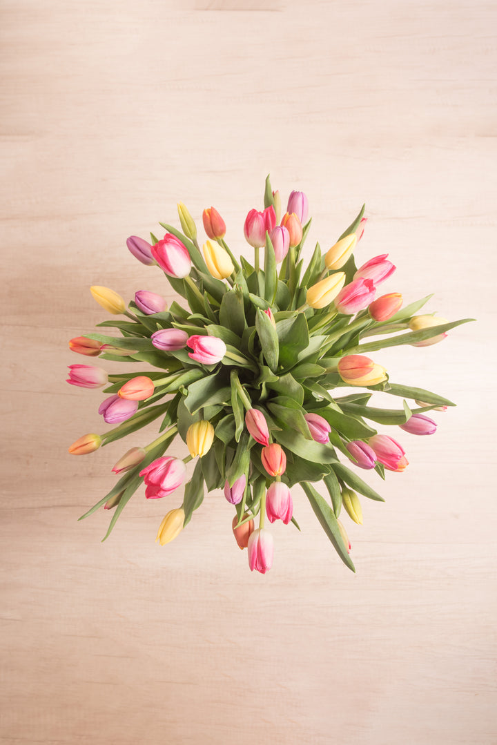 Florero Marilia 50 Tulipanes Mix
