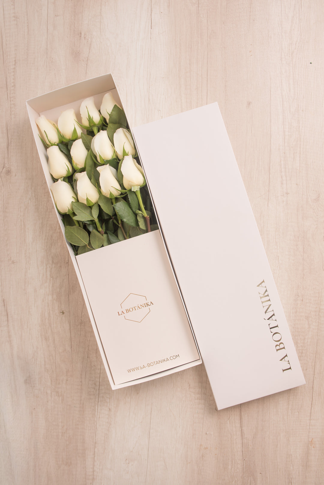 Classic Box Ivory 12 Rosas