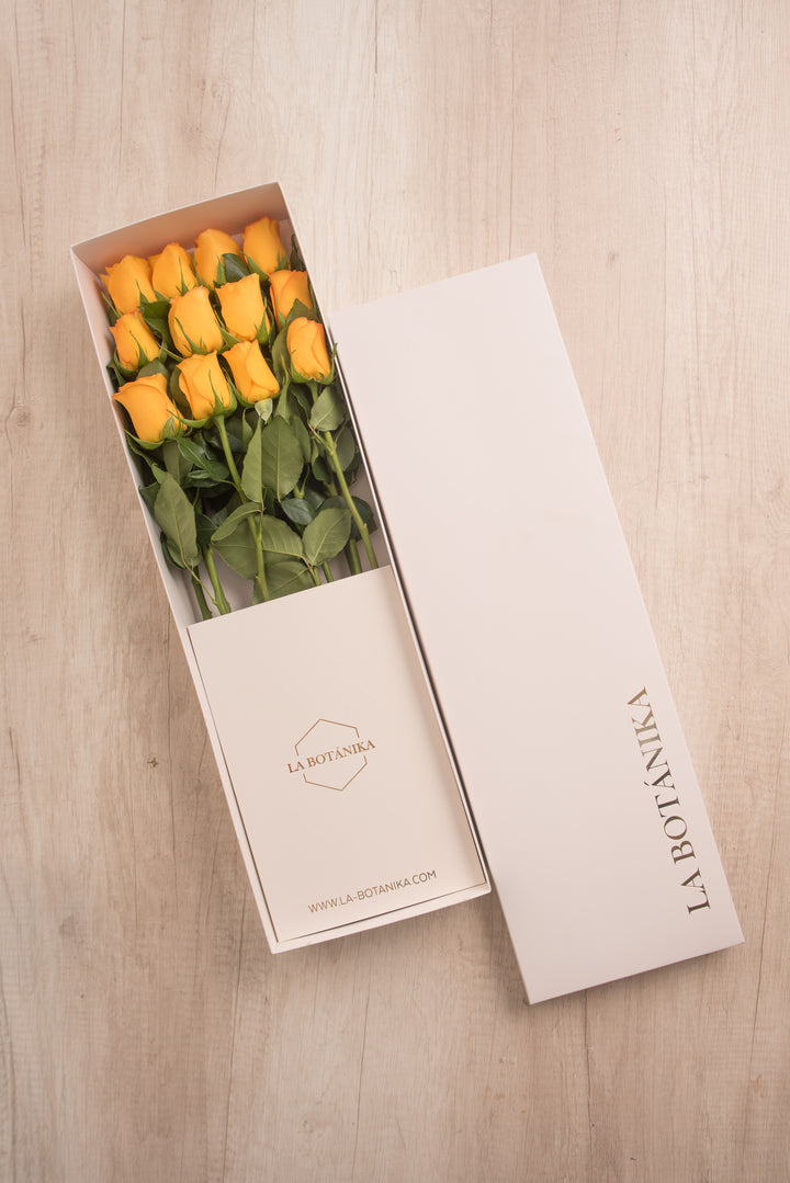 Classic Box Ivory 12 Rosas