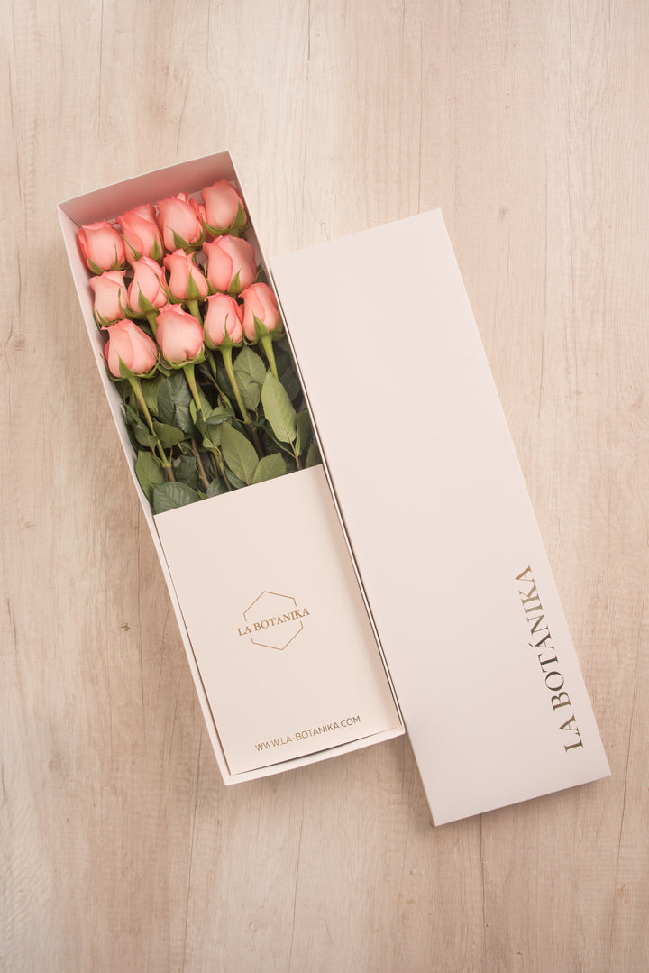 Classic Box Ivory 12 Rosas