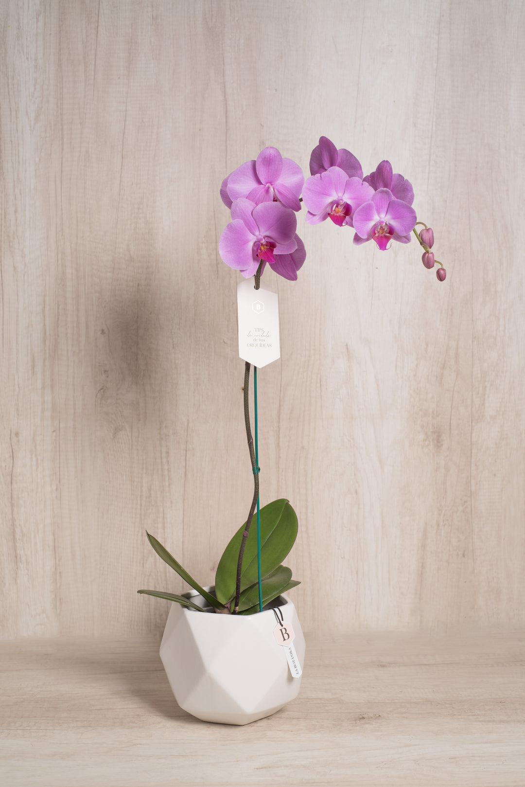 Esfera con Orquidea - mamá26