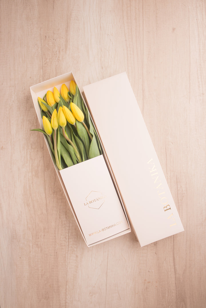 Classic Box Ivory 10 Tulipanes