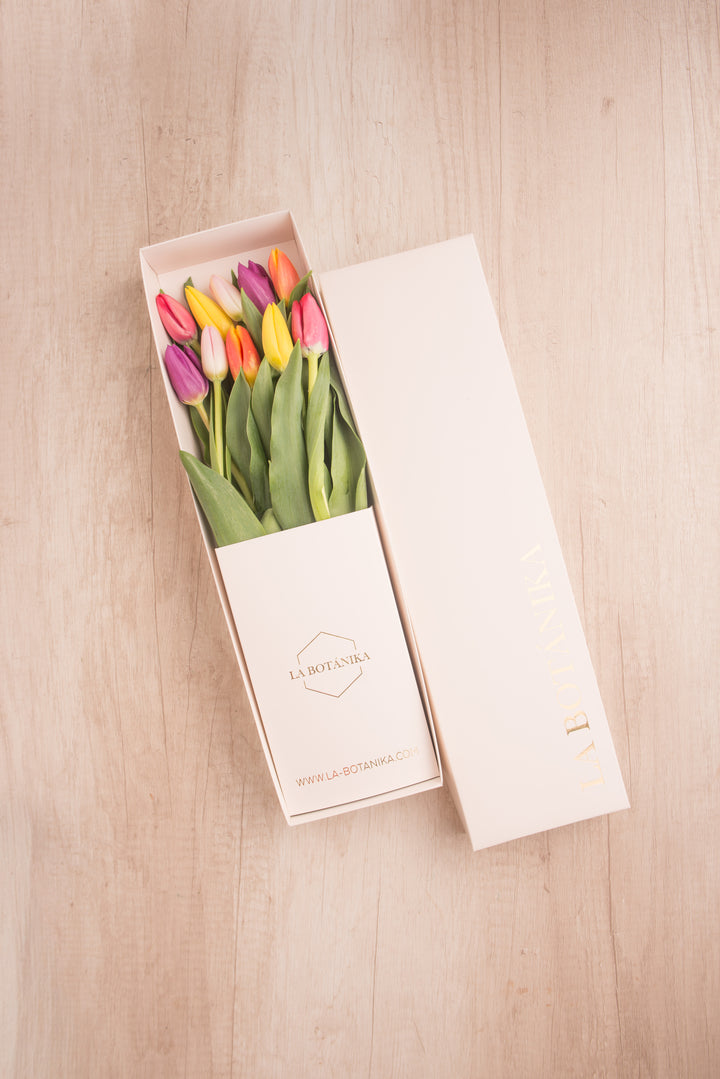 Classic Box Ivory 10 Tulipanes