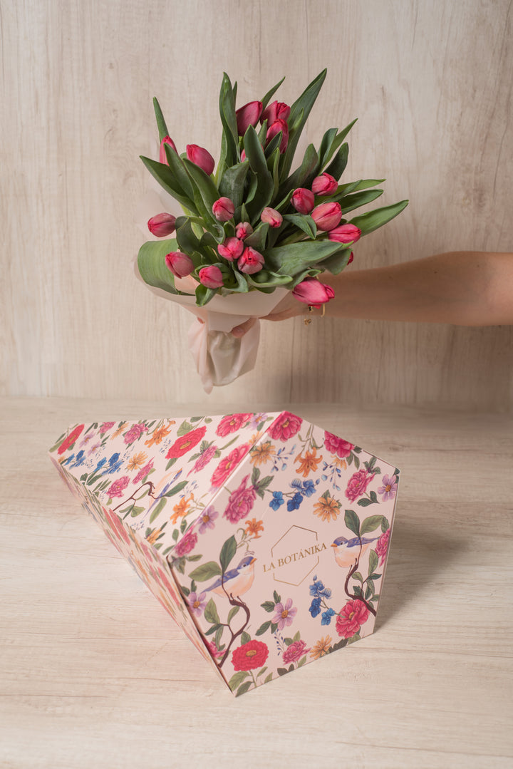 Cono Lollipop 20 Tulipanes Rojos
