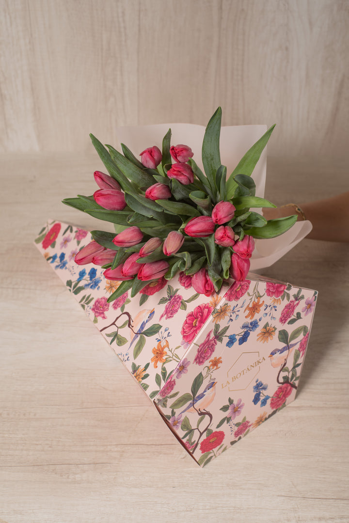 Cono Lollipop 20 Tulipanes Rojos