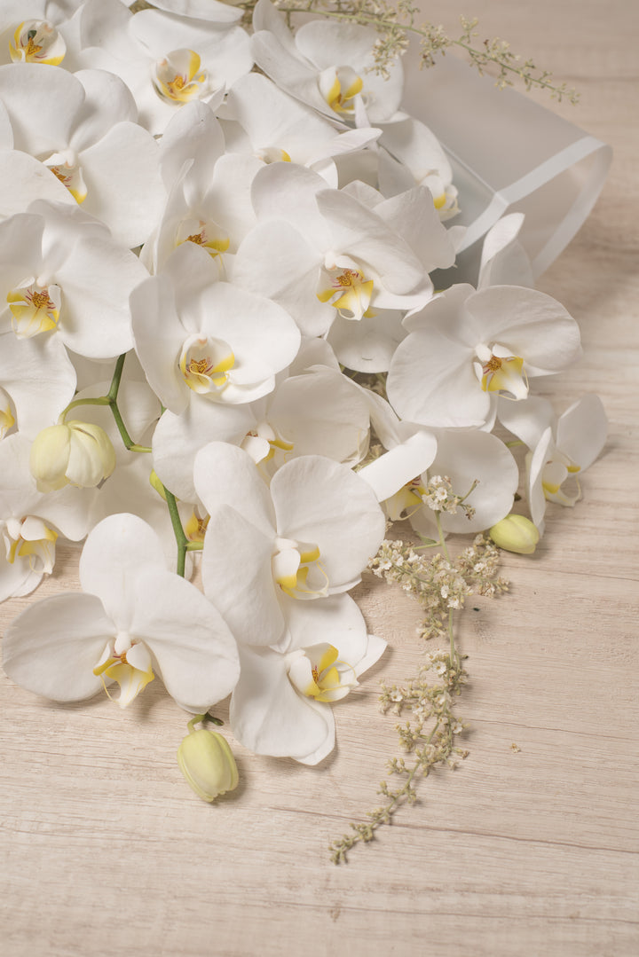 Ramo de Orquídeas para Feretro