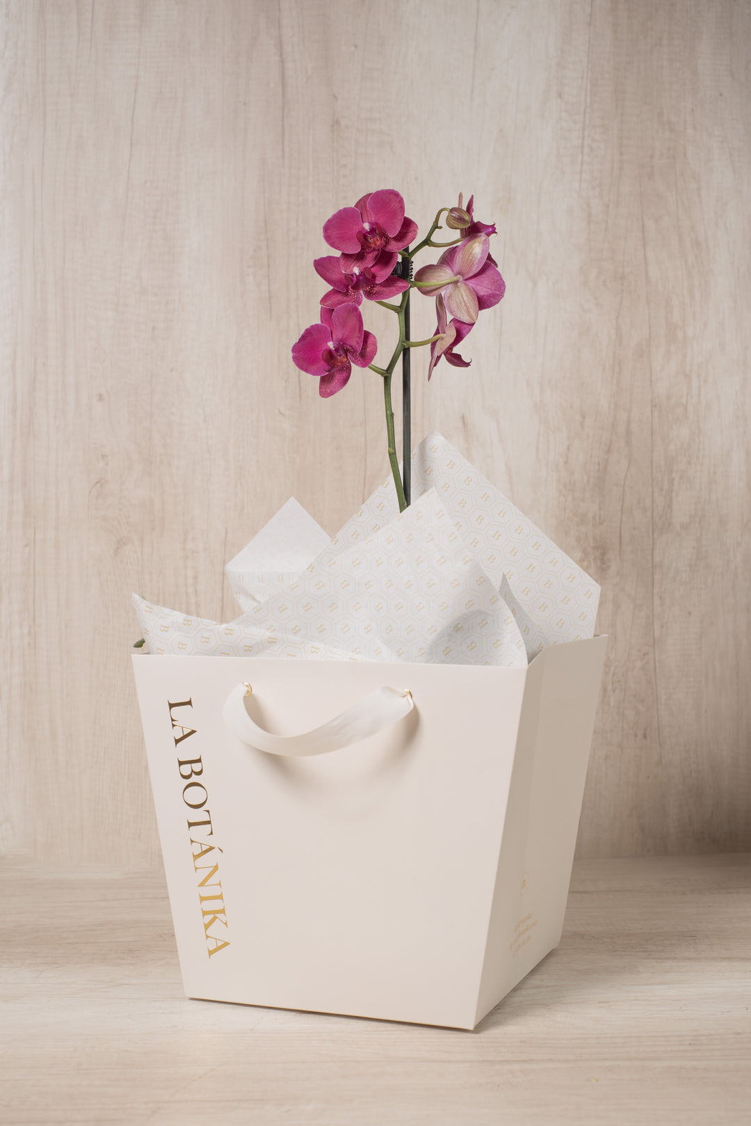 Wood Box con Orquídea - Mamá26