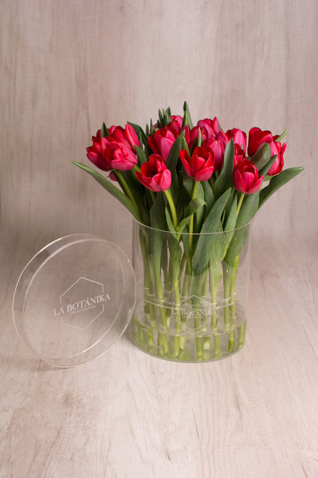 Crystal Box 25 Tulipanes Rojos - Sameday