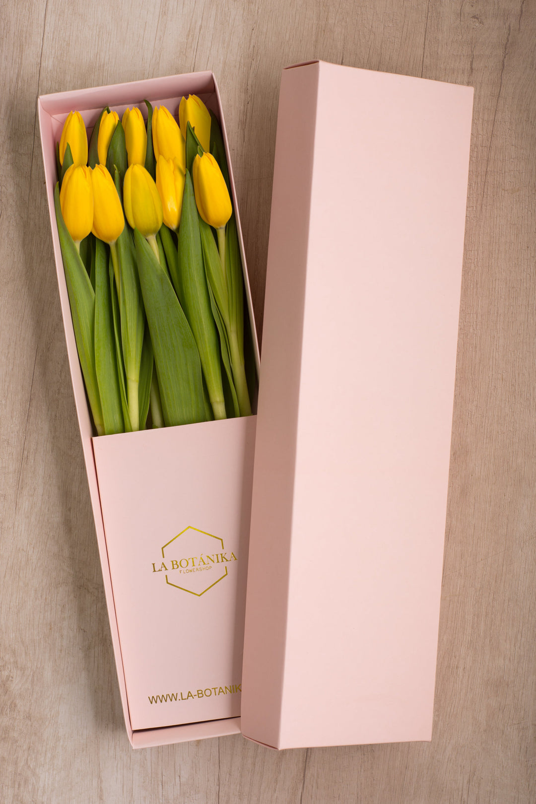 Classic Box 10 Tulipanes