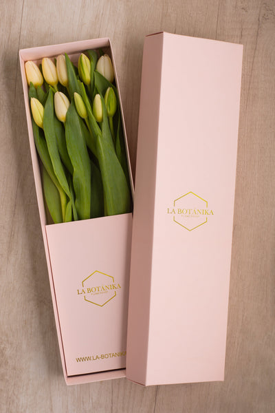 Classic Box 10 Tulipanes
