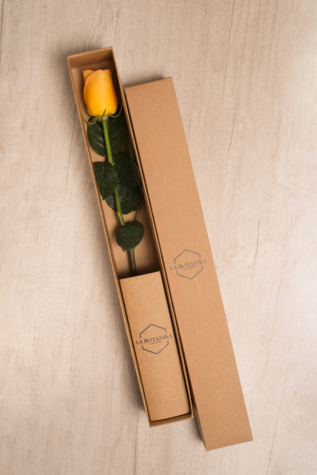 Classic Box Ecológica 1 rosa