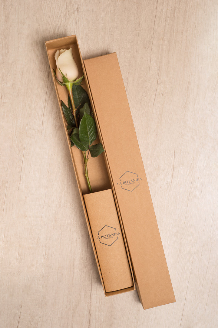 Classic Box Ecológica 1 rosa