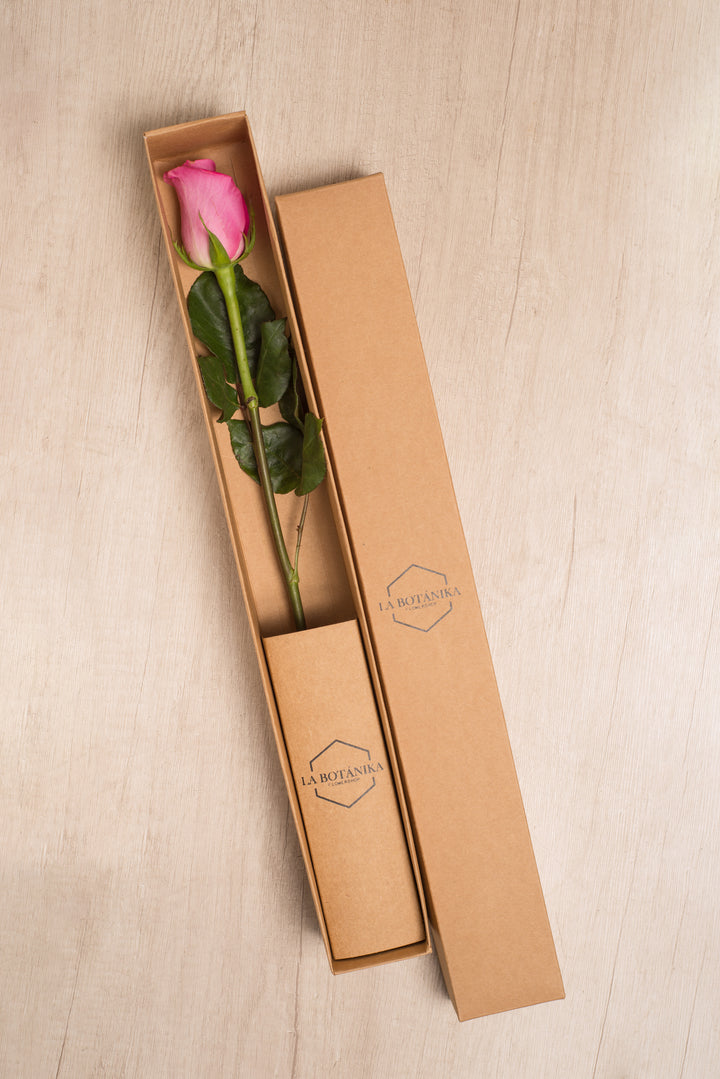 Classic Box Ecológica 1 rosa