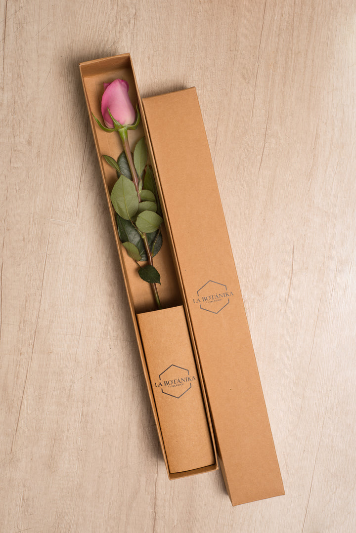 Classic Box Ecológica 1 rosa
