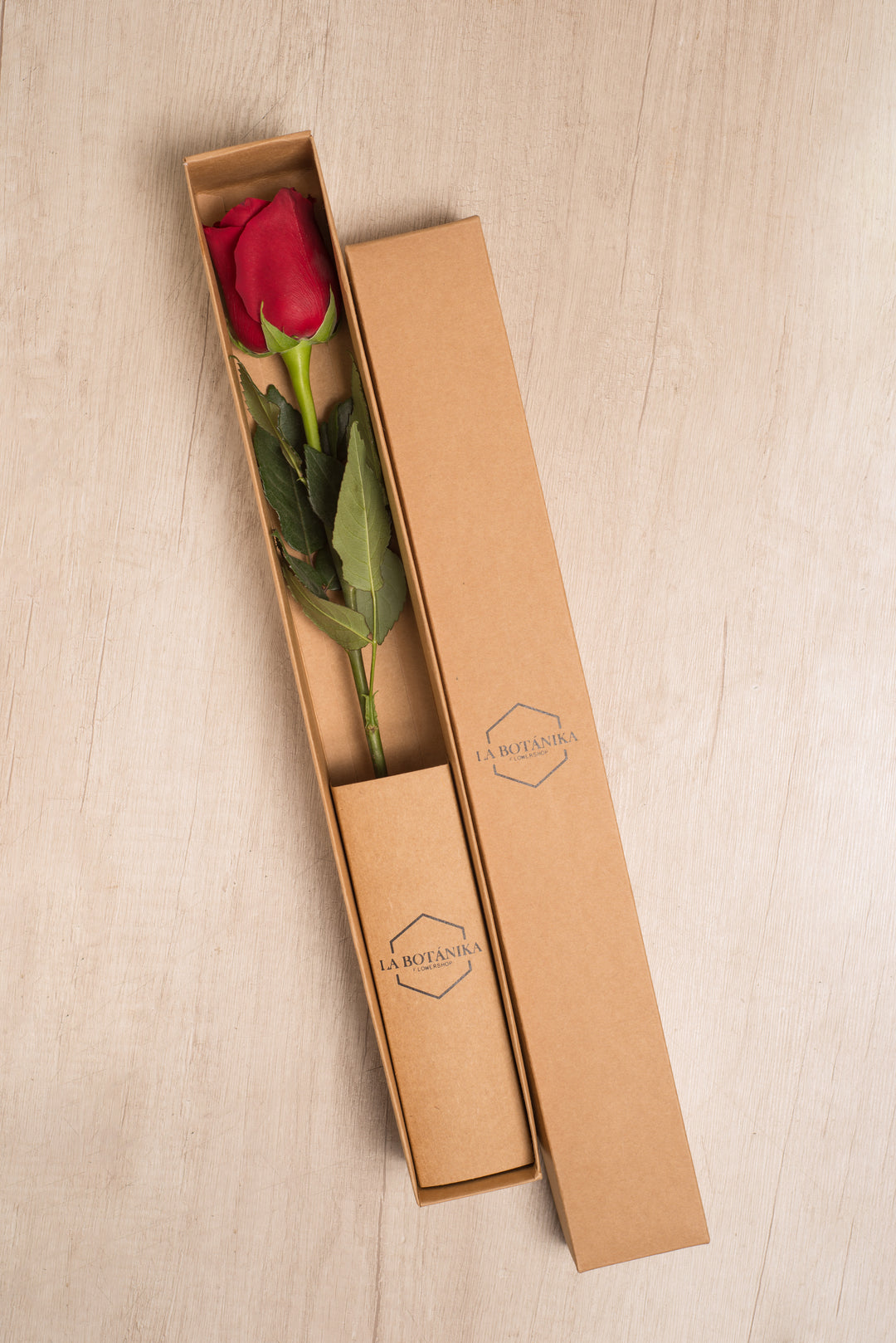 Classic Box Ecológica 1 rosa