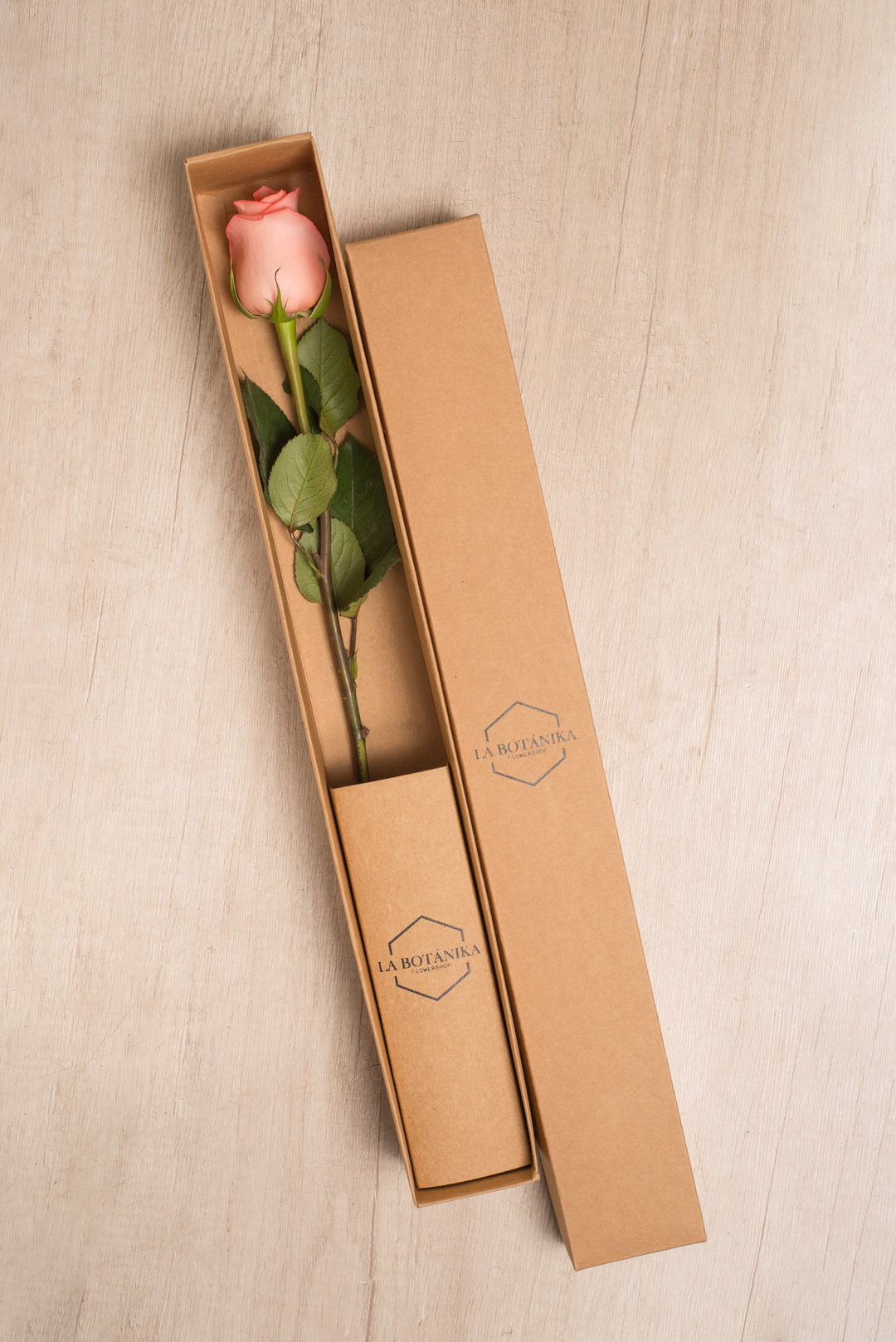 Classic Box Ecológica 1 rosa