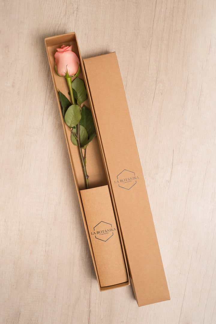 Classic Box Ecológica 1 rosa