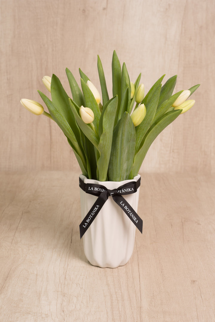 Julieta Blanco 10 Tulipanes blancos