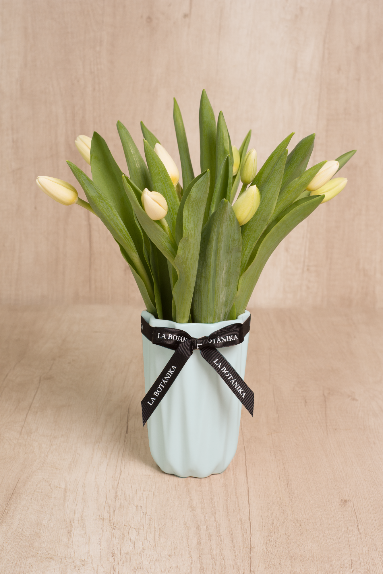 Julieta Celeste 10 Tulipanes blancos