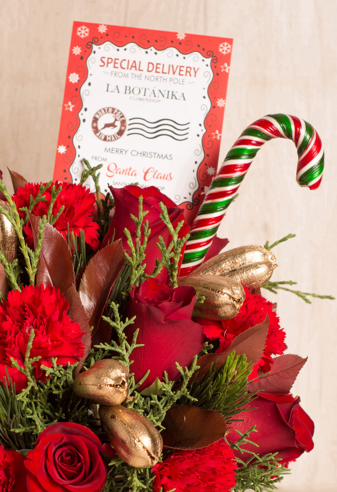 Sweater Box - Navidad