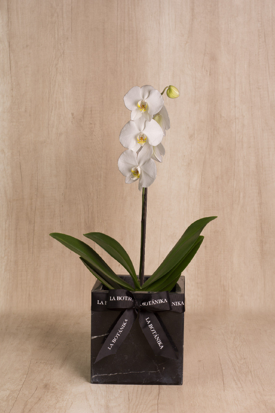 Mármol Negro con Orquídea