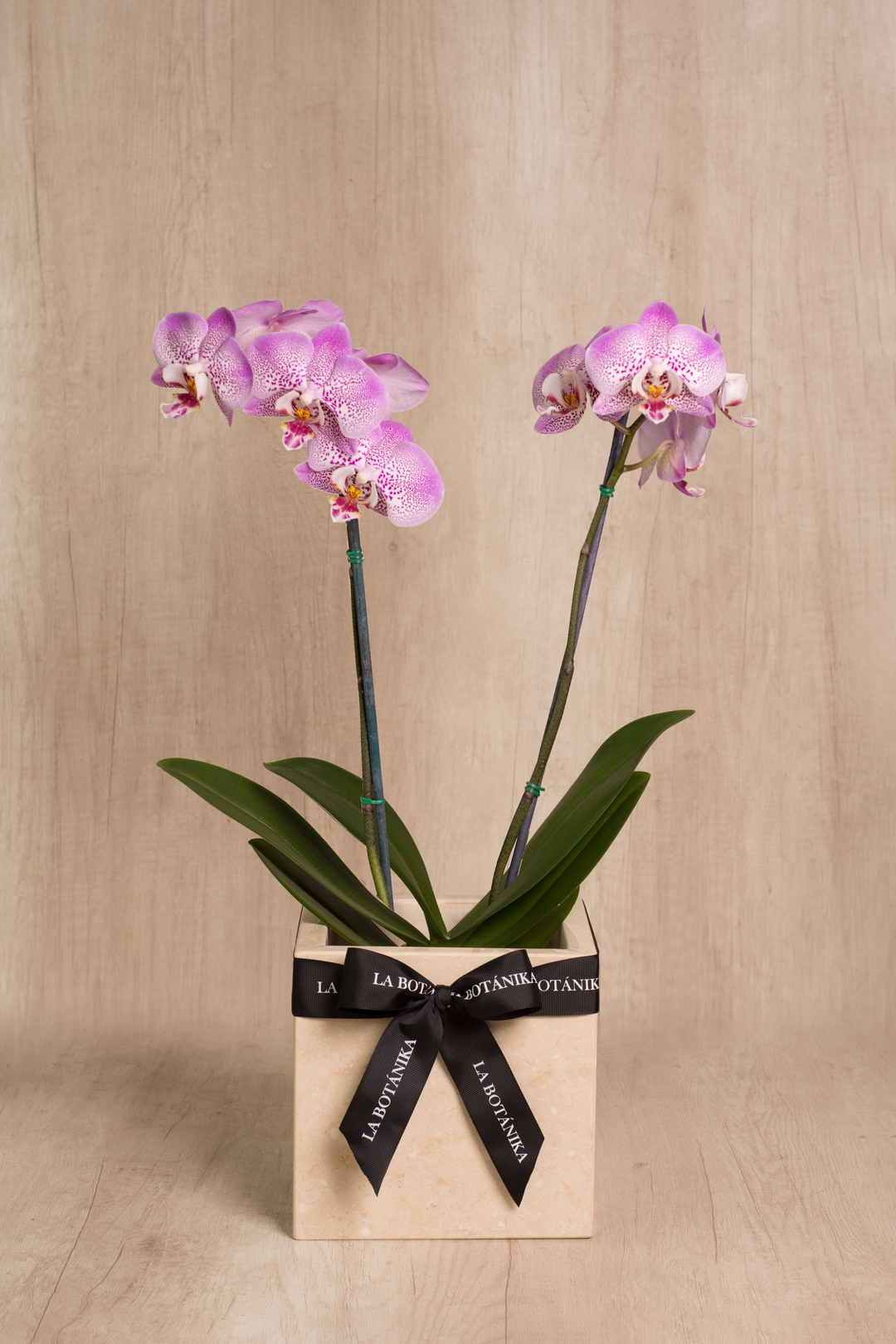 Mármol Beige Orquídea 2 varas