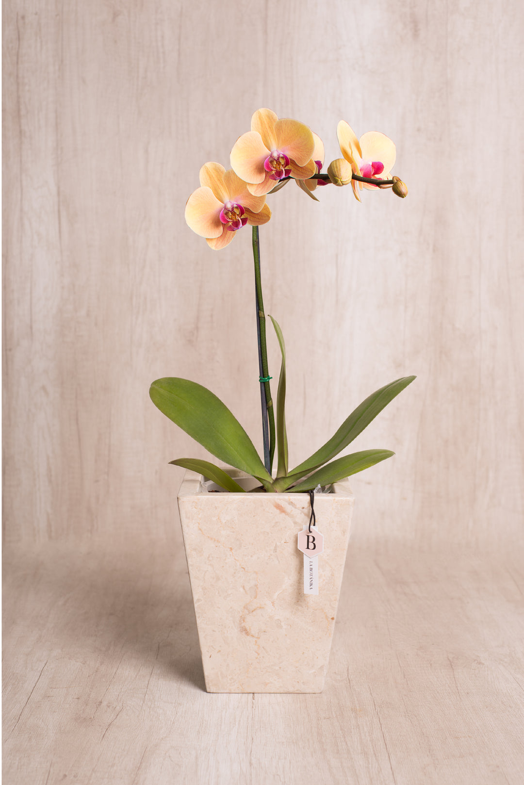 Trapecio Marmol Beige con orquídea