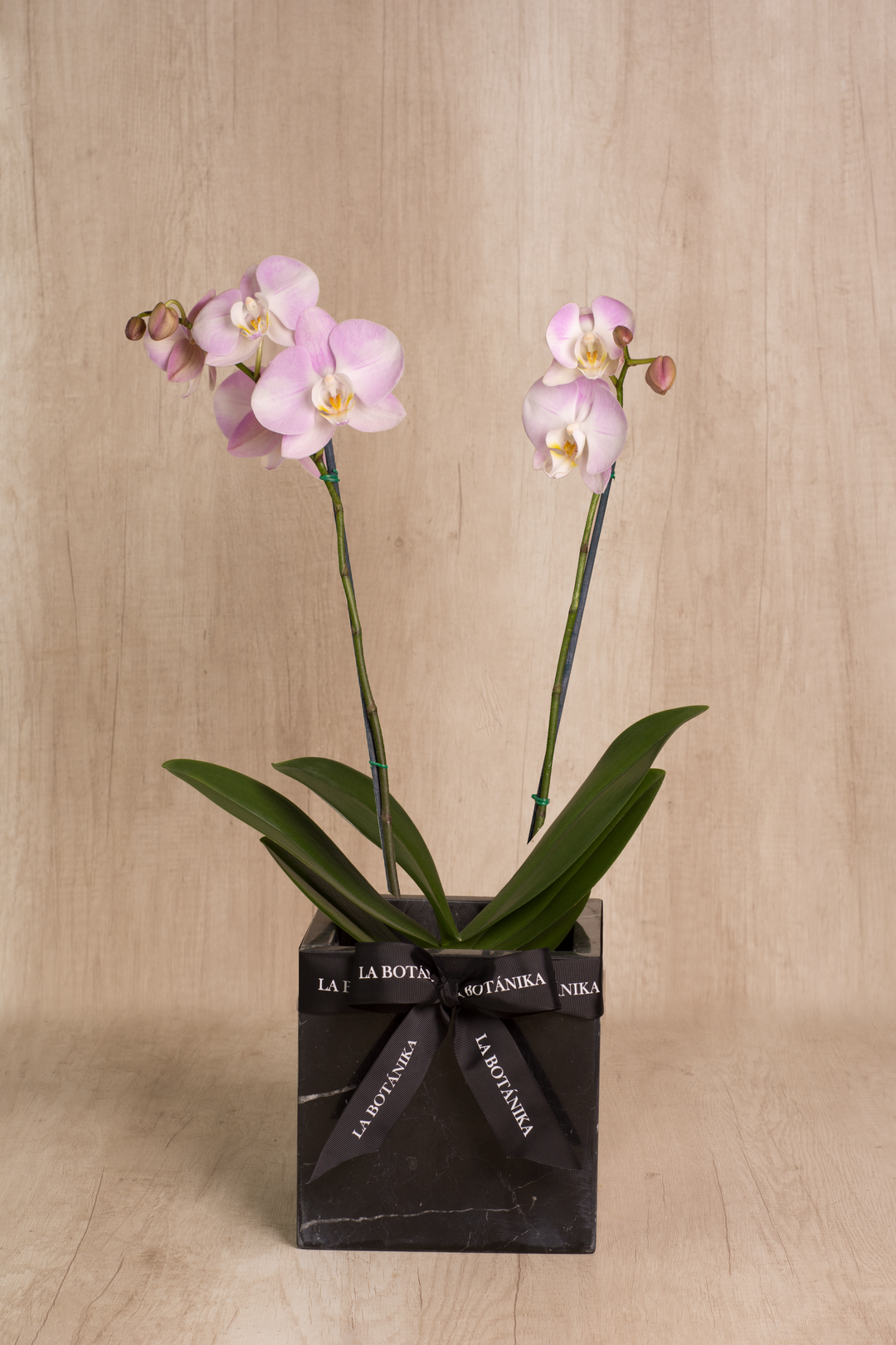 Mármol negro orquídea 2 varas