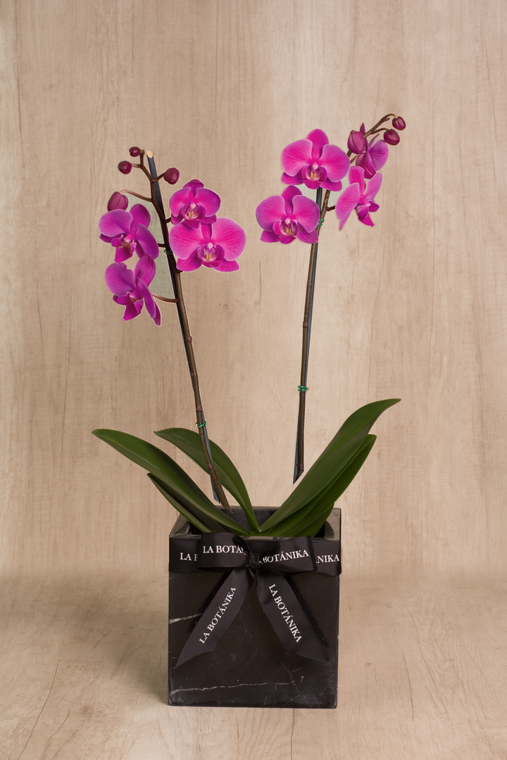Mármol negro orquídea 2 varas