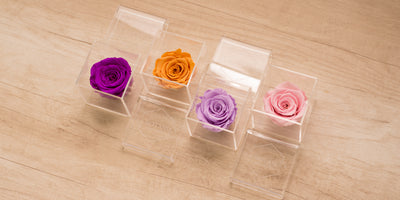 Pack de Rosa preservada con tapa personalizable