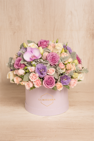 Round Box Lila Stefania