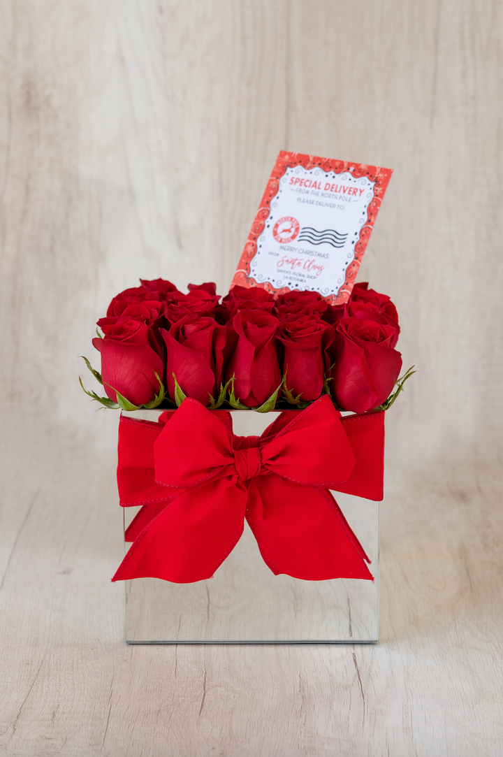 Mirror box rojo - Navidad