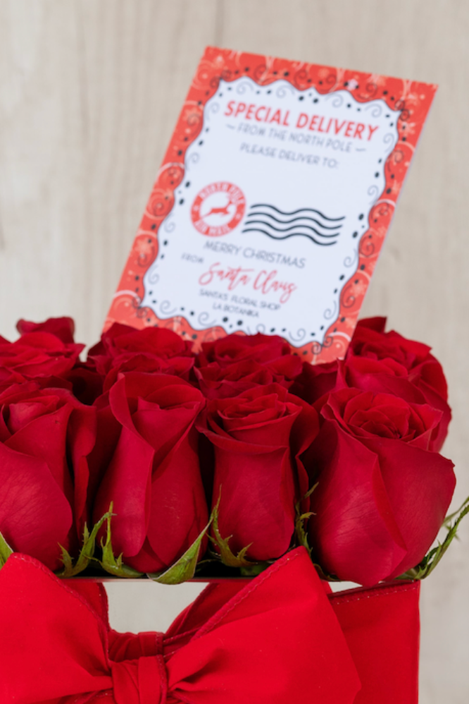 Mirror box rojo - Navidad