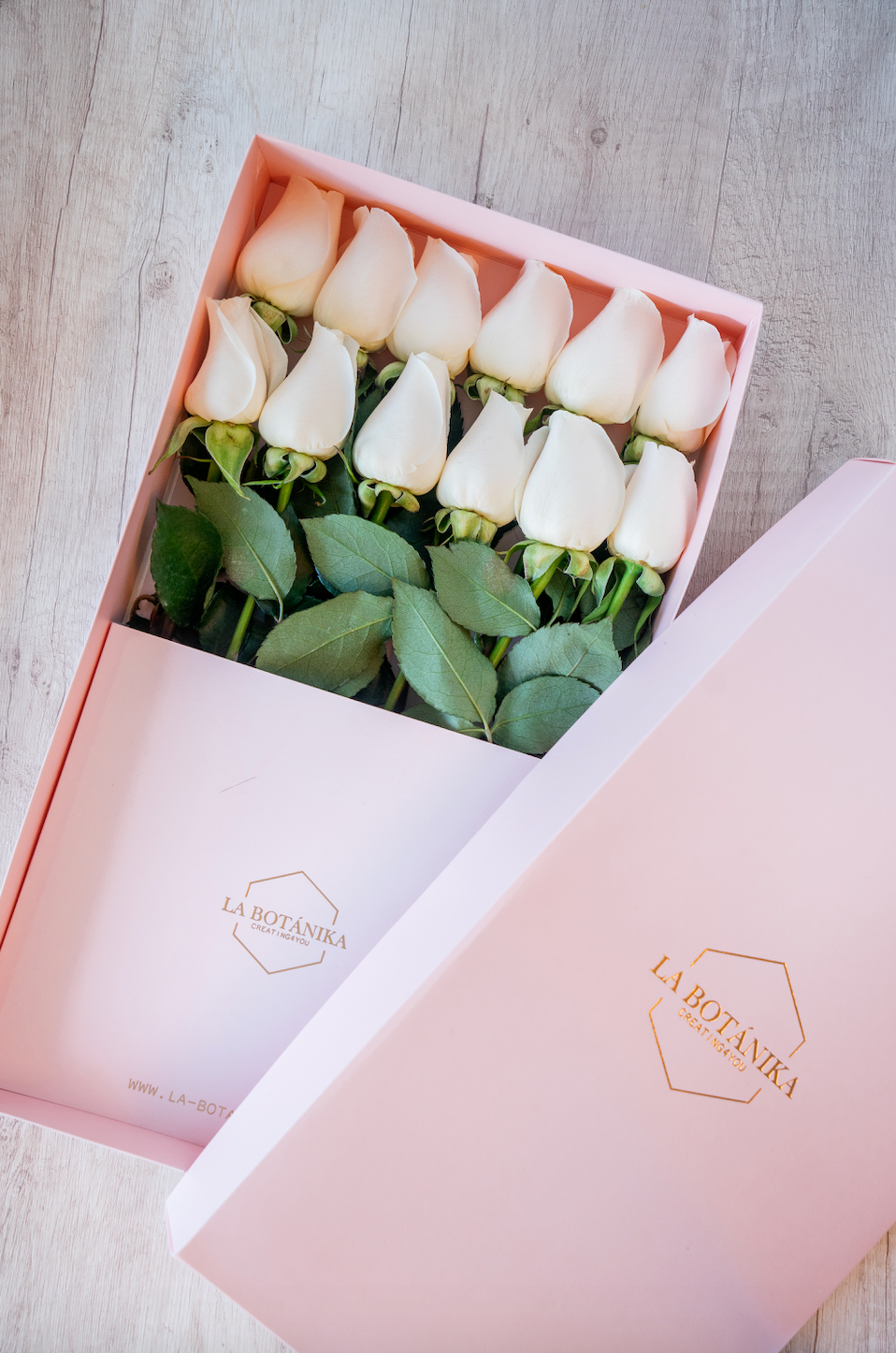 Classic Box 12 Rosas Blancas