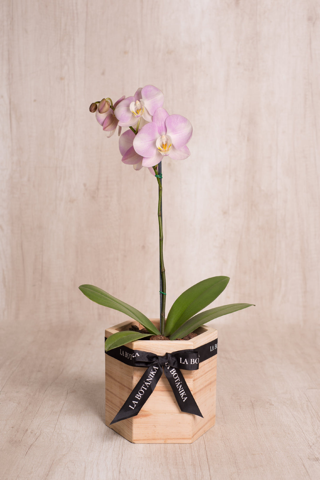 Wood Box hexagonal con Orquídea - sameday